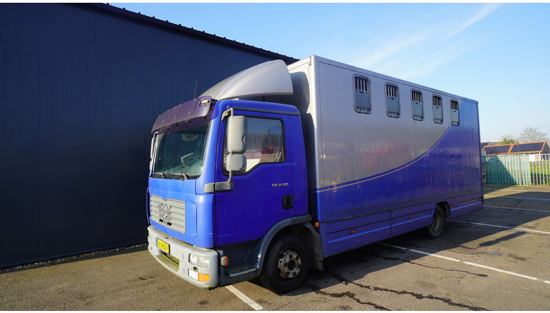 MAN TGL 8.180 HORSE TRANPORT 515.000KM - Коневоз: фото 3 MAN TGL 8.180 HORSE TRANPORT 515.000KM - Коневоз: фото 3