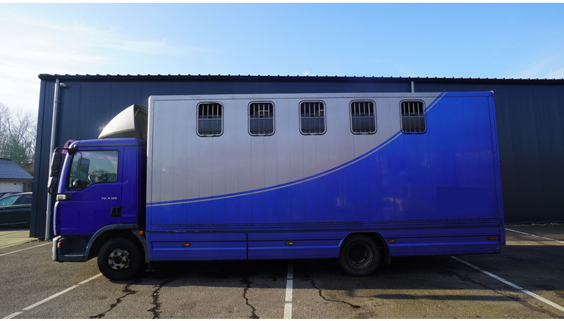 MAN TGL 8.180 HORSE TRANPORT 515.000KM - Коневоз: фото 1 MAN TGL 8.180 HORSE TRANPORT 515.000KM - Коневоз: фото 1
