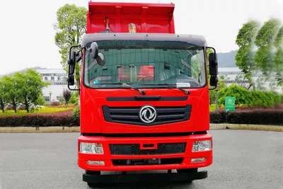 2023 Year Dongfeng Commercial Truck 8X4 Tipper 270HP with 6m Dump Body - Самосвал: фото 1 2023 Year Dongfeng Commercial Truck 8X4 Tipper 270HP with 6m Dump Body - Самосвал: фото 1