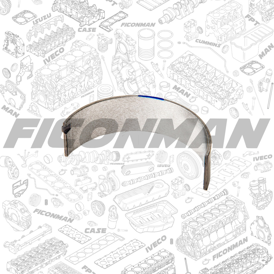 FORD Ford Trucks F-MAX ECOTORQ 9L BRG CSHAFT MN LWR BLUE T163988 6C466A338AAA - Подшипник двигателя для Грузовиков: фото 2 FORD Ford Trucks F-MAX ECOTORQ 9L BRG CSHAFT MN LWR BLUE T163988 6C466A338AAA - Подшипник двигателя для Грузовиков: фото 2