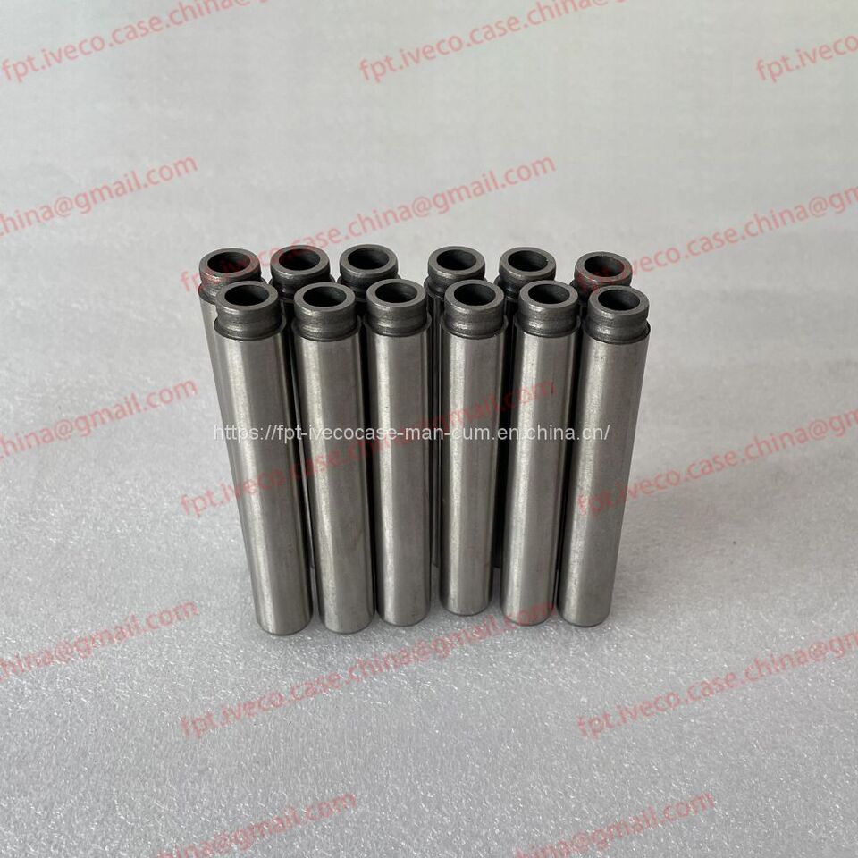 FPT IVECO CASE Cursor11 F3GFE613A B001 5801863562/5801690111 valve shaft guide 504384919/504384920 - Клапан: фото 1 FPT IVECO CASE Cursor11 F3GFE613A B001 5801863562/5801690111 valve shaft guide 504384919/504384920 - Клапан: фото 1