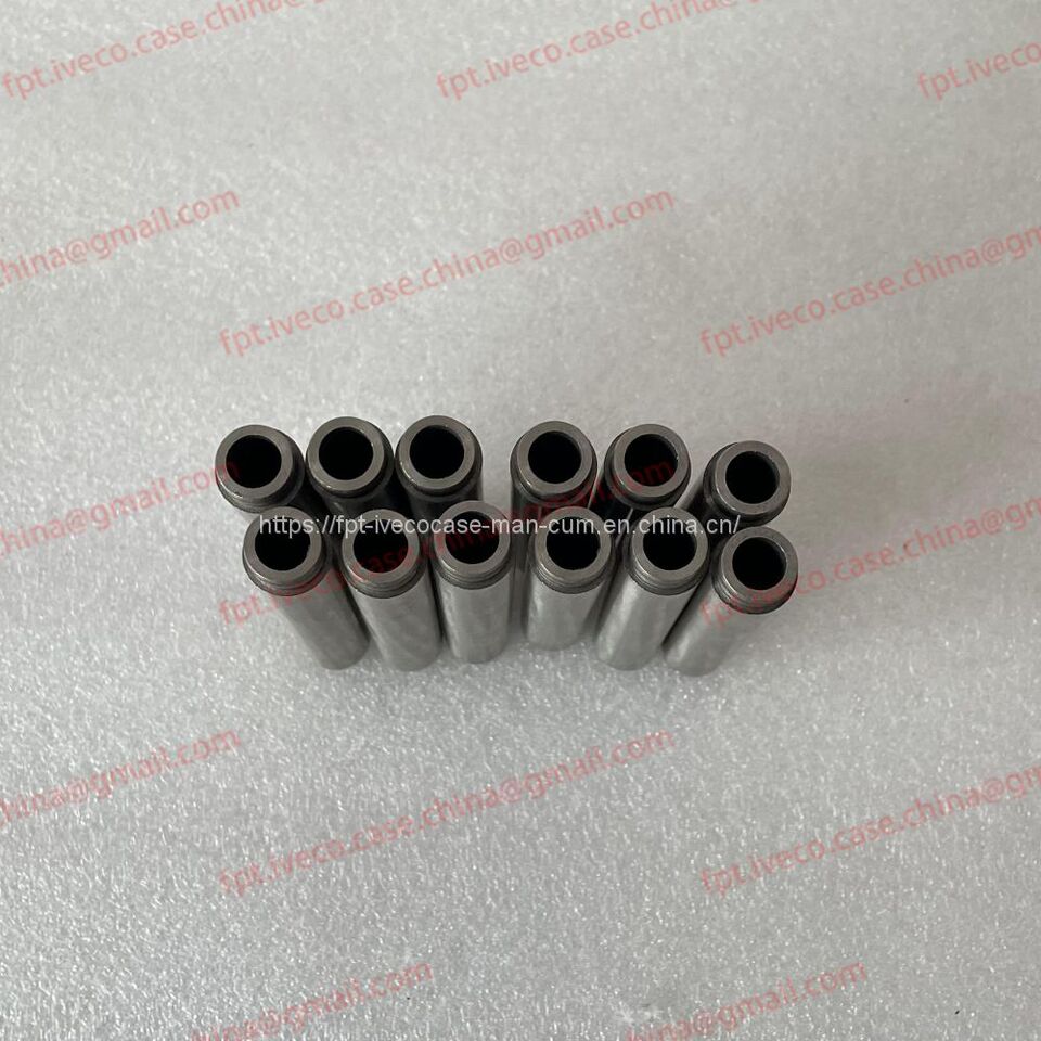 FPT IVECO CASE Cursor11 F3GFE613A B001 5801863562/5801690111 valve shaft guide 504384919/504384920 - Клапан: фото 2 FPT IVECO CASE Cursor11 F3GFE613A B001 5801863562/5801690111 valve shaft guide 504384919/504384920 - Клапан: фото 2