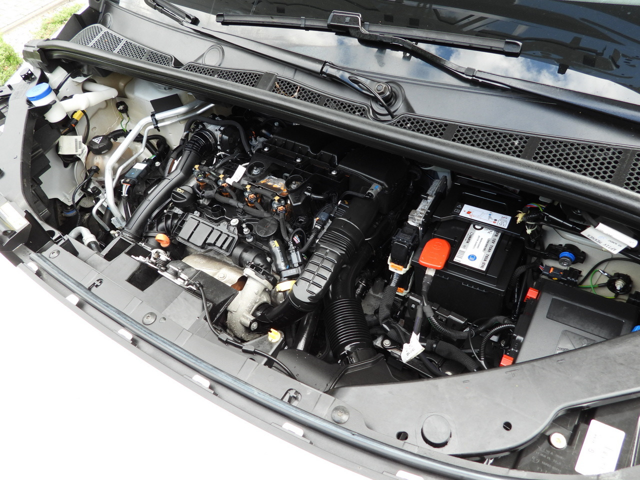 Фургон-рефрижератор TOYOTA PROACE CITY REFRIGERATOR VAN -15*C POWER SUPPLY 230V CRUISE CONTROL AIR CONDITIONING 100HP: фото 25 Фургон-рефрижератор TOYOTA PROACE CITY REFRIGERATOR VAN -15*C POWER SUPPLY 230V CRUISE CONTROL AIR CONDITIONING 100HP: фото 25