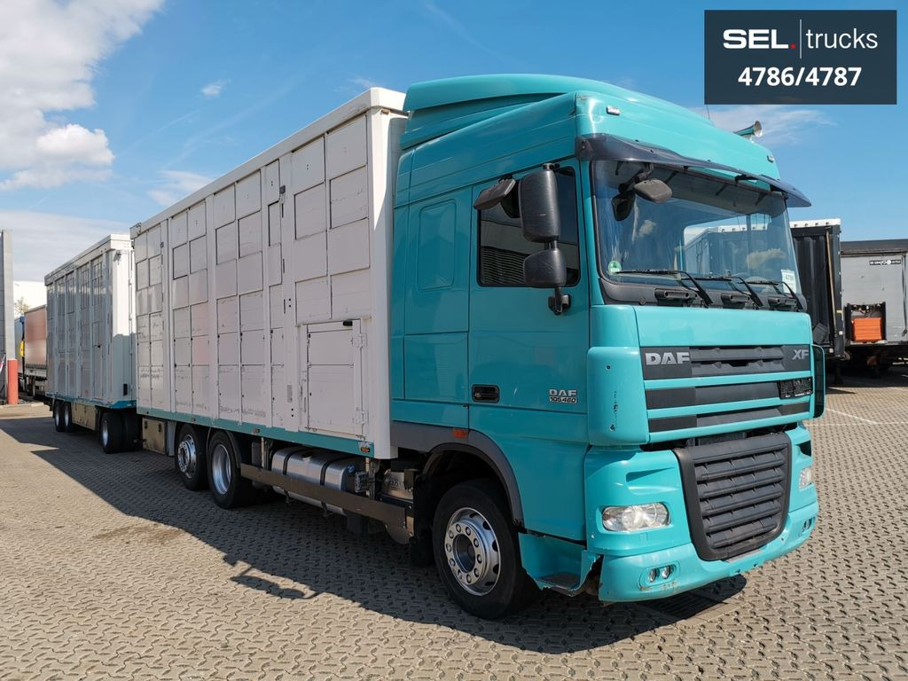 DAF XF 105.460 / Intarder / 4 Stock / KOMPLETT ! - Грузовик для перевозки животных: фото 4 DAF XF 105.460 / Intarder / 4 Stock / KOMPLETT ! - Грузовик для перевозки животных: фото 4