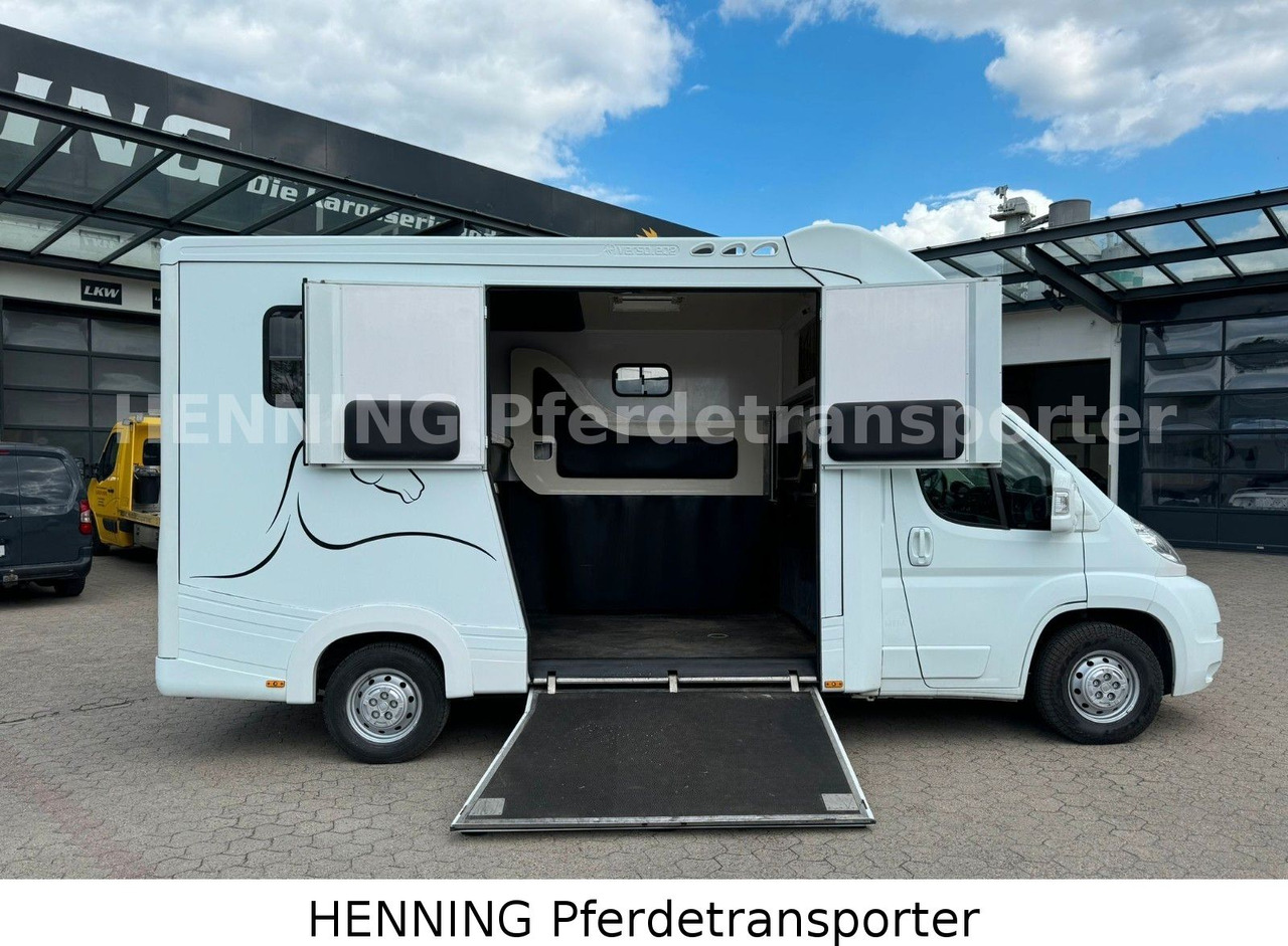 Fiat Ducato 3-Sitzer - Коневоз, Коммерческий автомобиль: фото 4 Fiat Ducato 3-Sitzer - Коневоз, Коммерческий автомобиль: фото 4