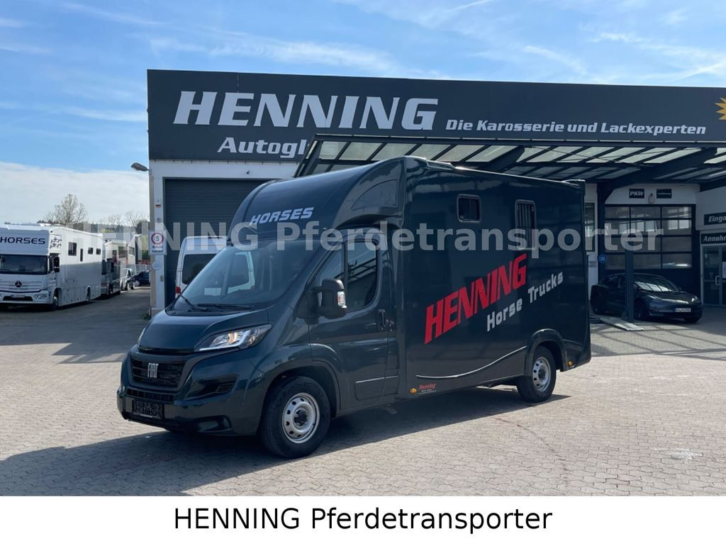 Fiat Ducato 3 - Sitzer *VORFÜHRUNGSFAHRZEUG* - Коневоз: фото 1 Fiat Ducato 3 - Sitzer *VORFÜHRUNGSFAHRZEUG* - Коневоз: фото 1
