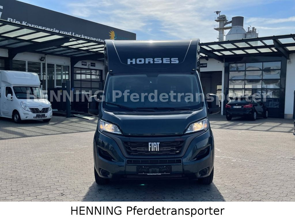 Fiat Ducato 3 - Sitzer *VORFÜHRUNGSFAHRZEUG* - Коневоз: фото 2 Fiat Ducato 3 - Sitzer *VORFÜHRUNGSFAHRZEUG* - Коневоз: фото 2