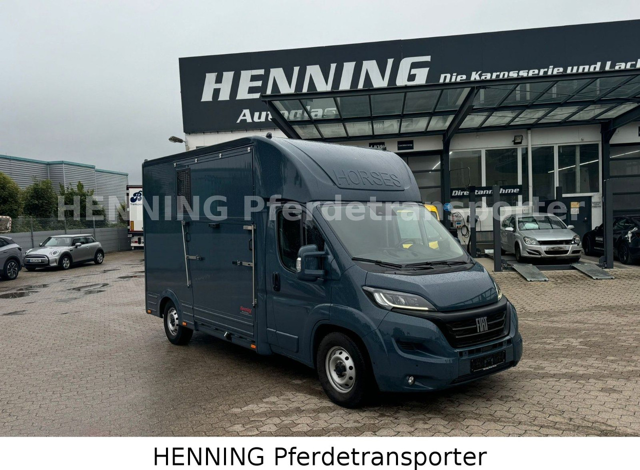 Fiat Ducato *AUTOMATIK* 3 - Sitzer - Грузовик для перевозки животных: фото 1 Fiat Ducato *AUTOMATIK* 3 - Sitzer - Грузовик для перевозки животных: фото 1