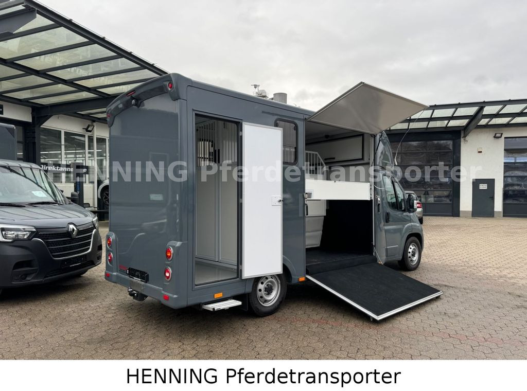 Fiat Ducato *NEUWAGEN* ca.1100 kg Nutzlast - Коневоз: фото 3 Fiat Ducato *NEUWAGEN* ca.1100 kg Nutzlast - Коневоз: фото 3