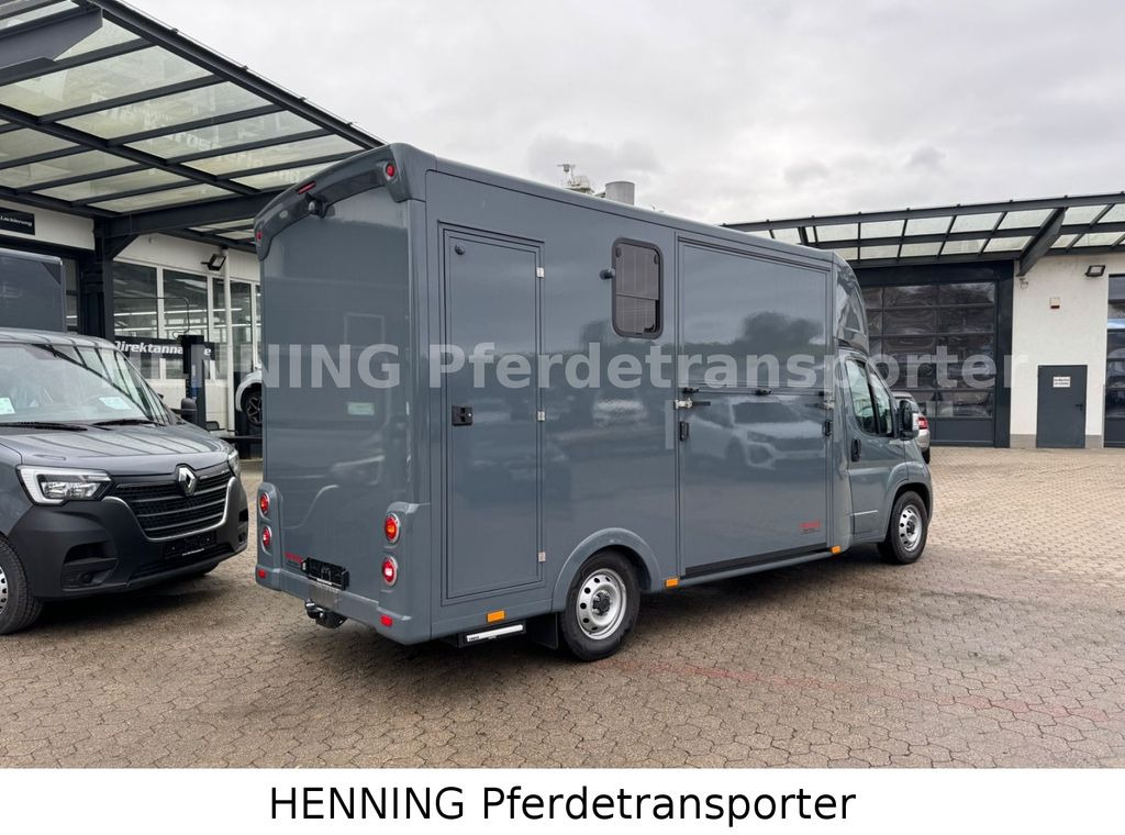 Fiat Ducato *NEUWAGEN* ca.1100 kg Nutzlast - Коневоз: фото 2 Fiat Ducato *NEUWAGEN* ca.1100 kg Nutzlast - Коневоз: фото 2