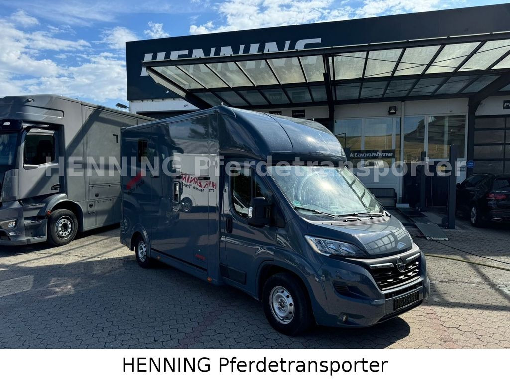 Opel Movano 3 - Sitzer *AUFBAU NEU* - Коневоз: фото 1 Opel Movano 3 - Sitzer *AUFBAU NEU* - Коневоз: фото 1