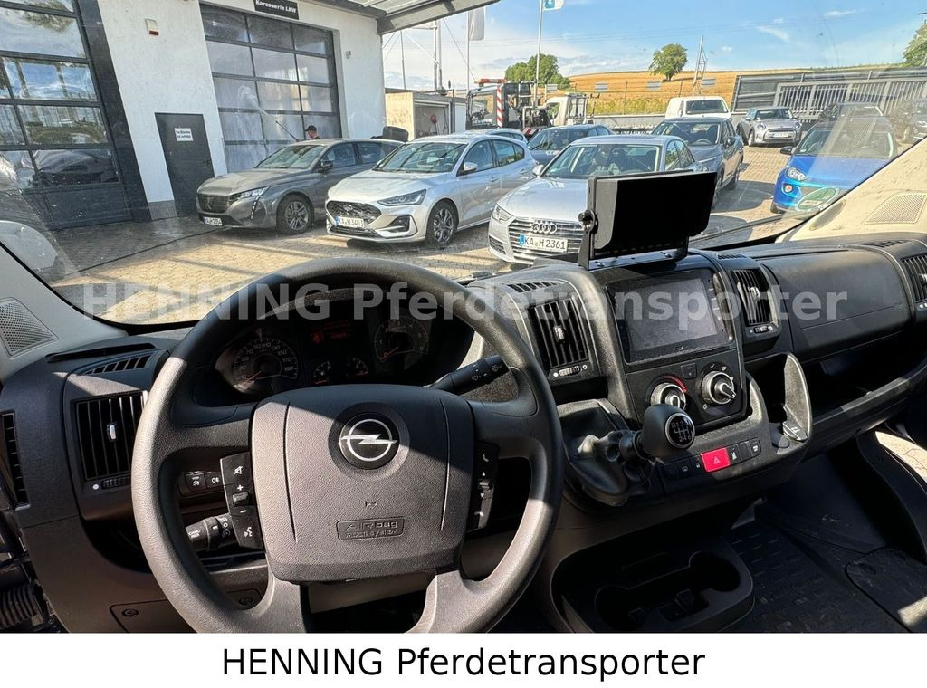 Коневоз Opel Movano 3 - Sitzer *AUFBAU NEU*: фото 12