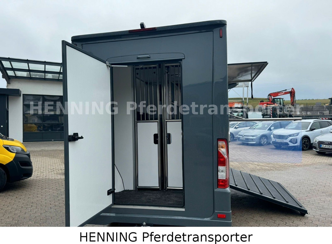 Renault Master 3 - Sitzer *NEUES MODELL* - Грузовик для перевозки животных: фото 4 Renault Master 3 - Sitzer *NEUES MODELL* - Грузовик для перевозки животных: фото 4