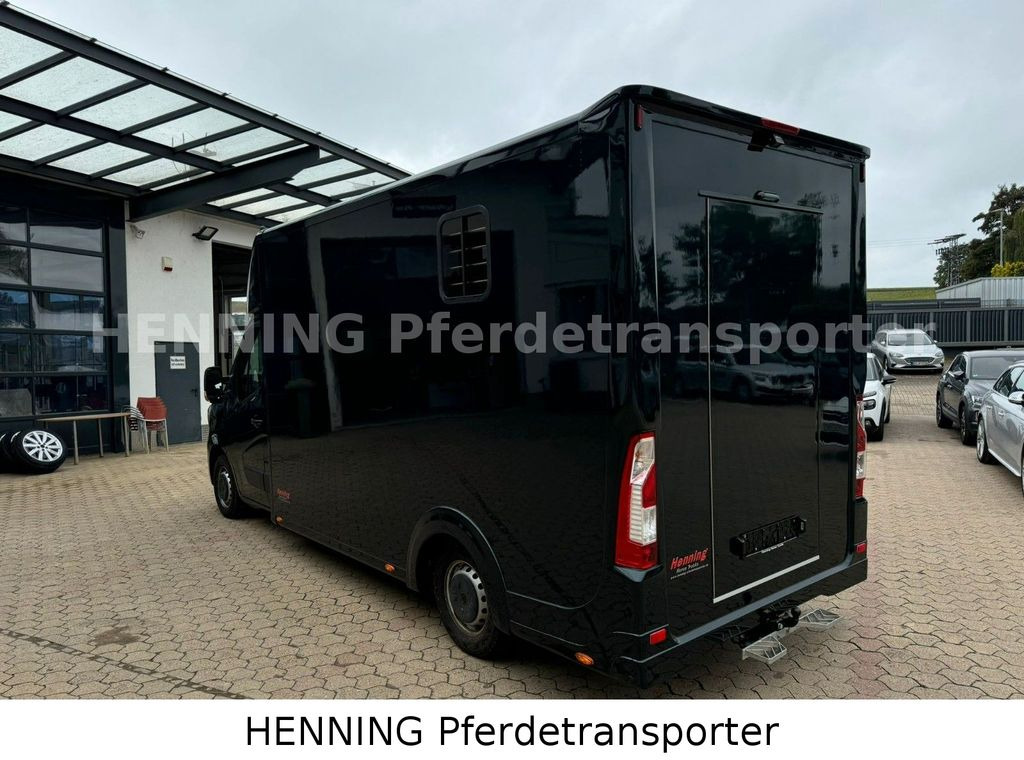 Коневоз Renault Master 5 -  Sitzer Automatik: фото 12