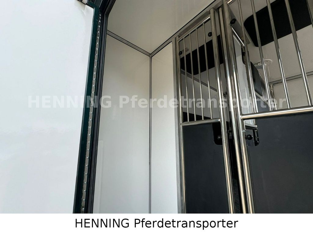 Коневоз Renault Master 5 -  Sitzer Automatik: фото 10