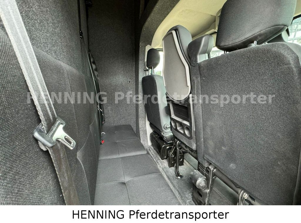 Коневоз Renault Master 5 -  Sitzer Automatik: фото 17