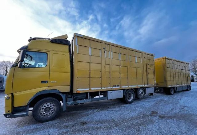 Volvo FH 420 • KABA • Transport Zwierząt 3xŚwinie/ 2xBydło 3-piętrowy • Euro 5 • Retarder • Oś podnoszona i skrętna - Грузовик для перевозки животных: фото 1 Volvo FH 420 • KABA • Transport Zwierząt 3xŚwinie/ 2xBydło 3-piętrowy • Euro 5 • Retarder • Oś podnoszona i skrętna - Грузовик для перевозки животных: фото 1