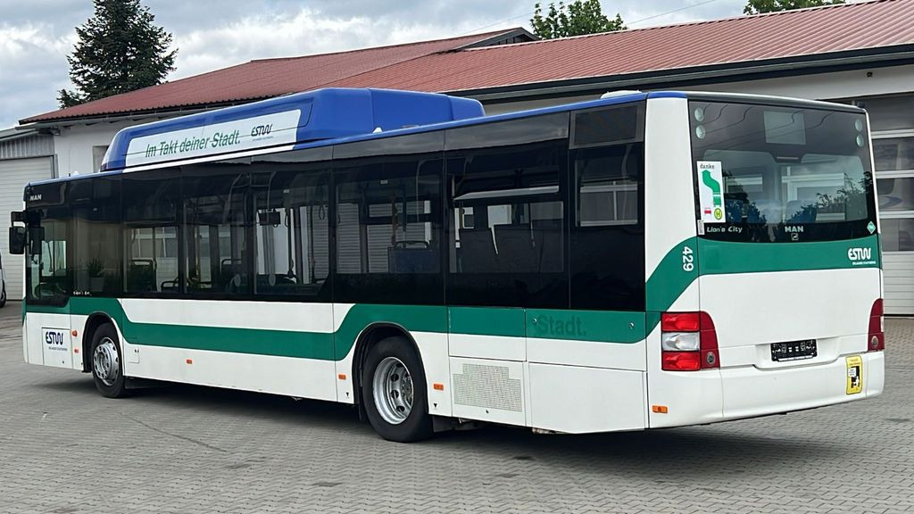MAN A 21 CNG Euro 5 EEV MAN A 21 CNG Euro 5 EEV - Городской автобус: фото 5 MAN A 21 CNG Euro 5 EEV MAN A 21 CNG Euro 5 EEV - Городской автобус: фото 5