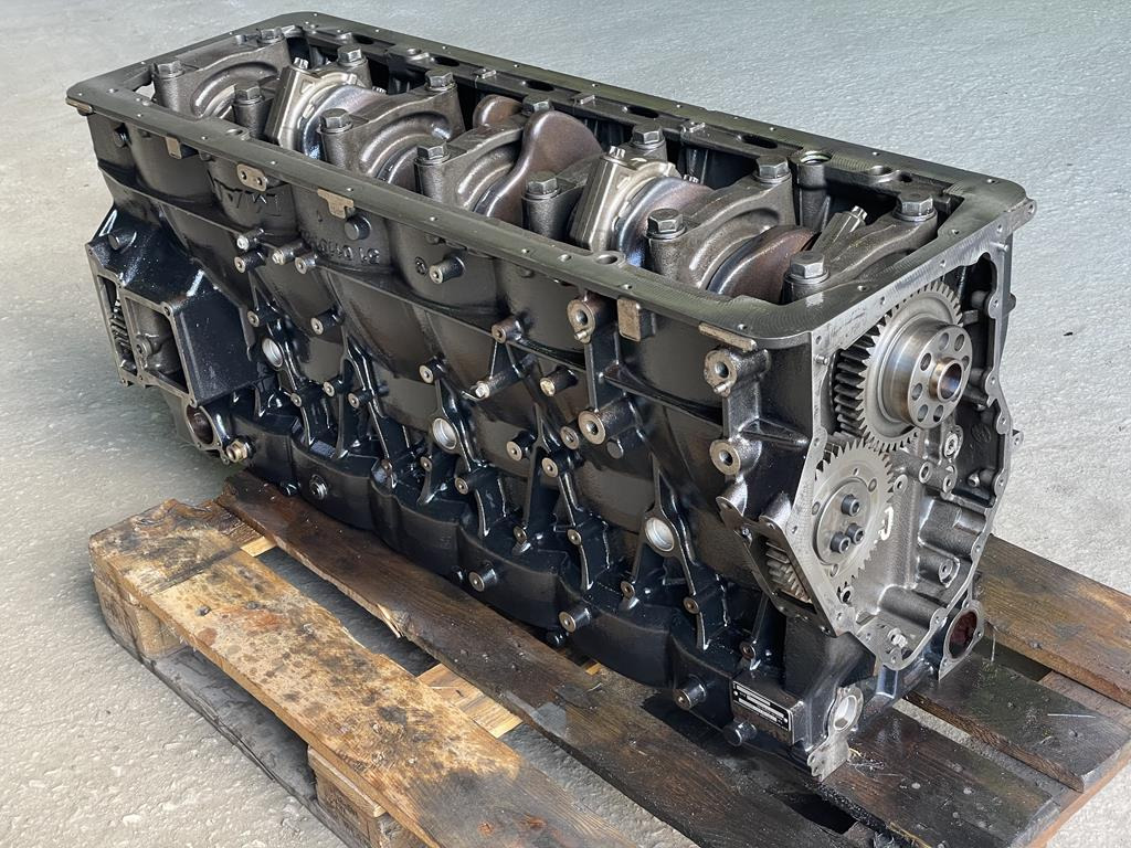 MAN TGX D3876 LF01 - EURO 6 - Блок цилиндров для Грузовиков: фото 5 MAN TGX D3876 LF01 - EURO 6 - Блок цилиндров для Грузовиков: фото 5