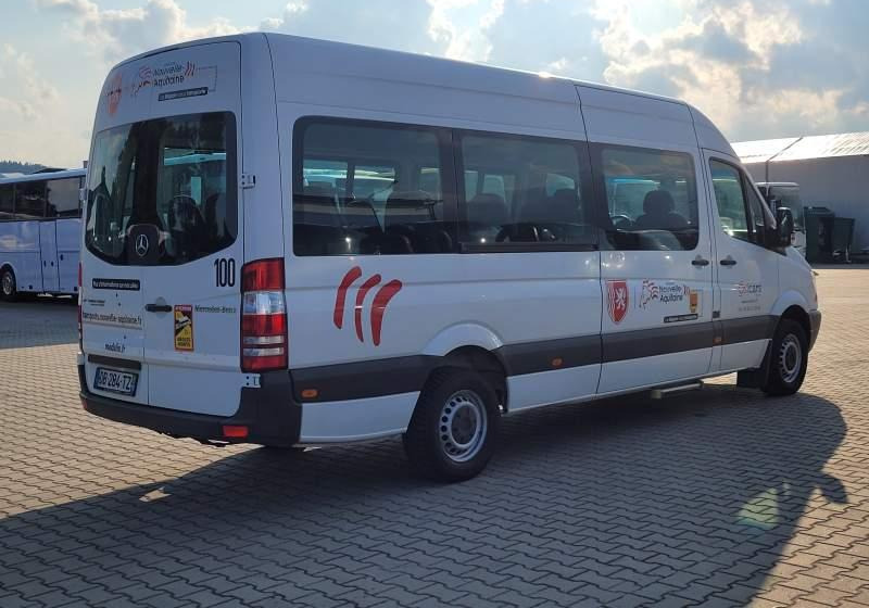 Микроавтобус, Пассажирский фургон Mercedes-Benz 513 SPRINTER TRANSFER / SPROWADZONY/ MANUAL: фото 20
