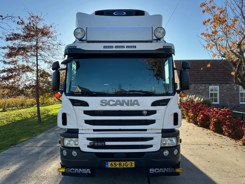 Scania P280 / NL TRUCK / EURO 6 / FULL AIR / CARRIER SUPRA 1250 / TOPCONDITION / LIFT+DOORS - Рефрижератор: фото 2 Scania P280 / NL TRUCK / EURO 6 / FULL AIR / CARRIER SUPRA 1250 / TOPCONDITION / LIFT+DOORS - Рефрижератор: фото 2