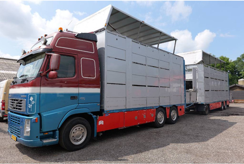 Volvo FH 13 480 6x2 3 stock livestock transport Cuppers - Грузовик для перевозки животных: фото 2 Volvo FH 13 480 6x2 3 stock livestock transport Cuppers - Грузовик для перевозки животных: фото 2