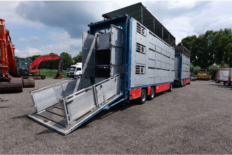 Volvo FH 13 480 6x2 3 stock livestock transport Cuppers - Грузовик для перевозки животных: фото 3 Volvo FH 13 480 6x2 3 stock livestock transport Cuppers - Грузовик для перевозки животных: фото 3