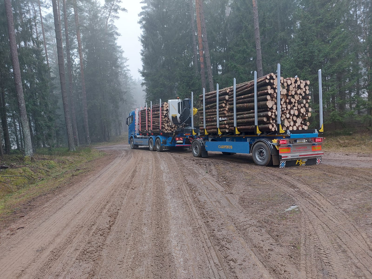 Hydrofast Przyczepa 2 osiowa do drewna stosowego HFP2/2-axle timber trailer HFP2 - Прицеп лесовоз: фото 3 Hydrofast Przyczepa 2 osiowa do drewna stosowego HFP2/2-axle timber trailer HFP2 - Прицеп лесовоз: фото 3