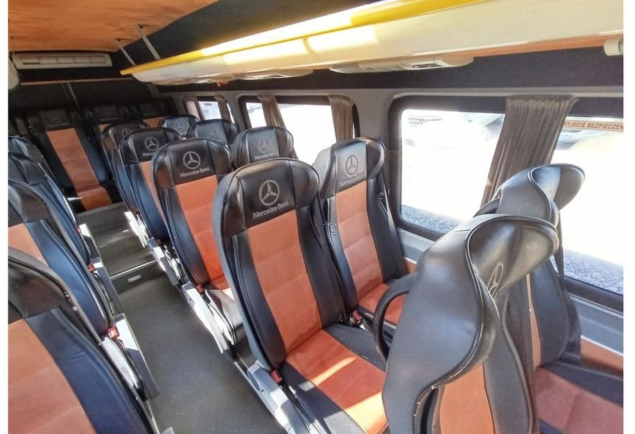 Микроавтобус, Пассажирский фургон Mercedes-Benz Sprinter 516: фото 15