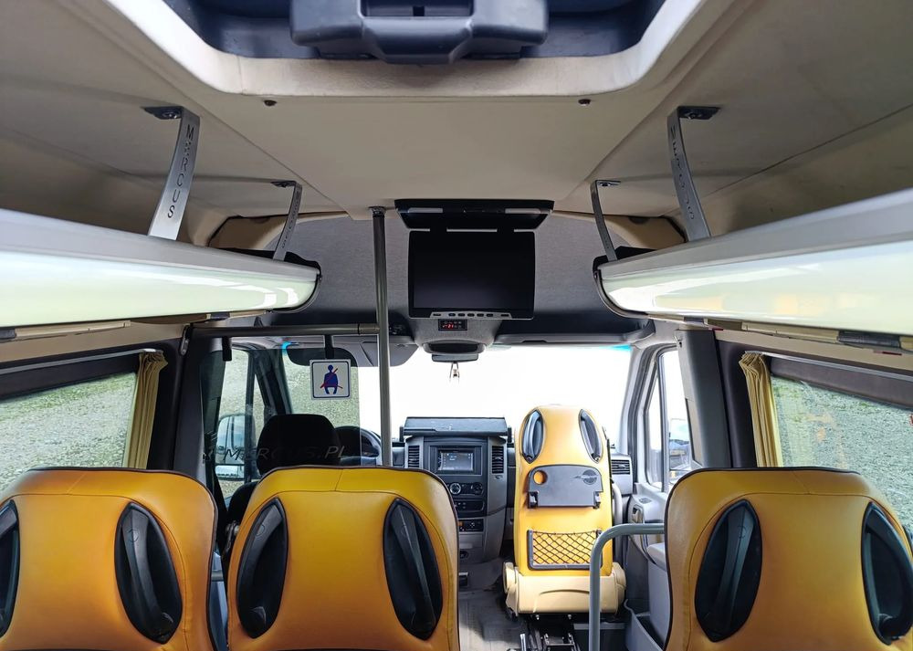Микроавтобус, Пассажирский фургон Mercedes-Benz Sprinter 519: фото 19