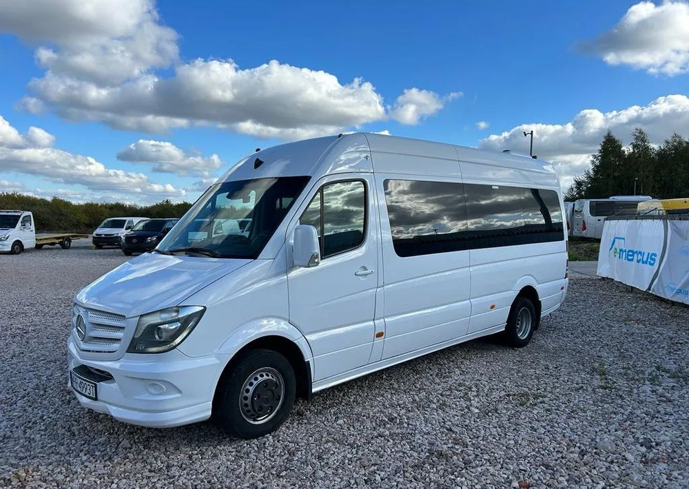Mercedes-Benz Sprinter 519 - Микроавтобус, Пассажирский фургон: фото 3 Mercedes-Benz Sprinter 519 - Микроавтобус, Пассажирский фургон: фото 3