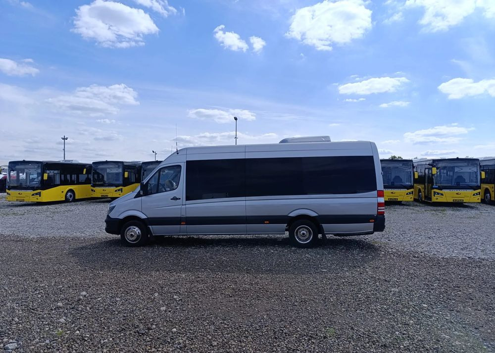 Микроавтобус, Пассажирский фургон Mercedes-Benz Sprinter 519: фото 10