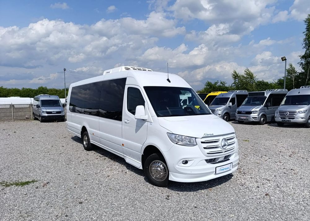 Новый Микроавтобус, Пассажирский фургон Mercedes-Benz Sprinter 519: фото 1