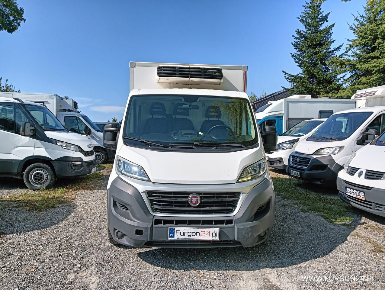 FIAT DUCATO KONTENER CHŁODNIA NR 783 - Фургон-рефрижератор: фото 2 FIAT DUCATO KONTENER CHŁODNIA NR 783 - Фургон-рефрижератор: фото 2
