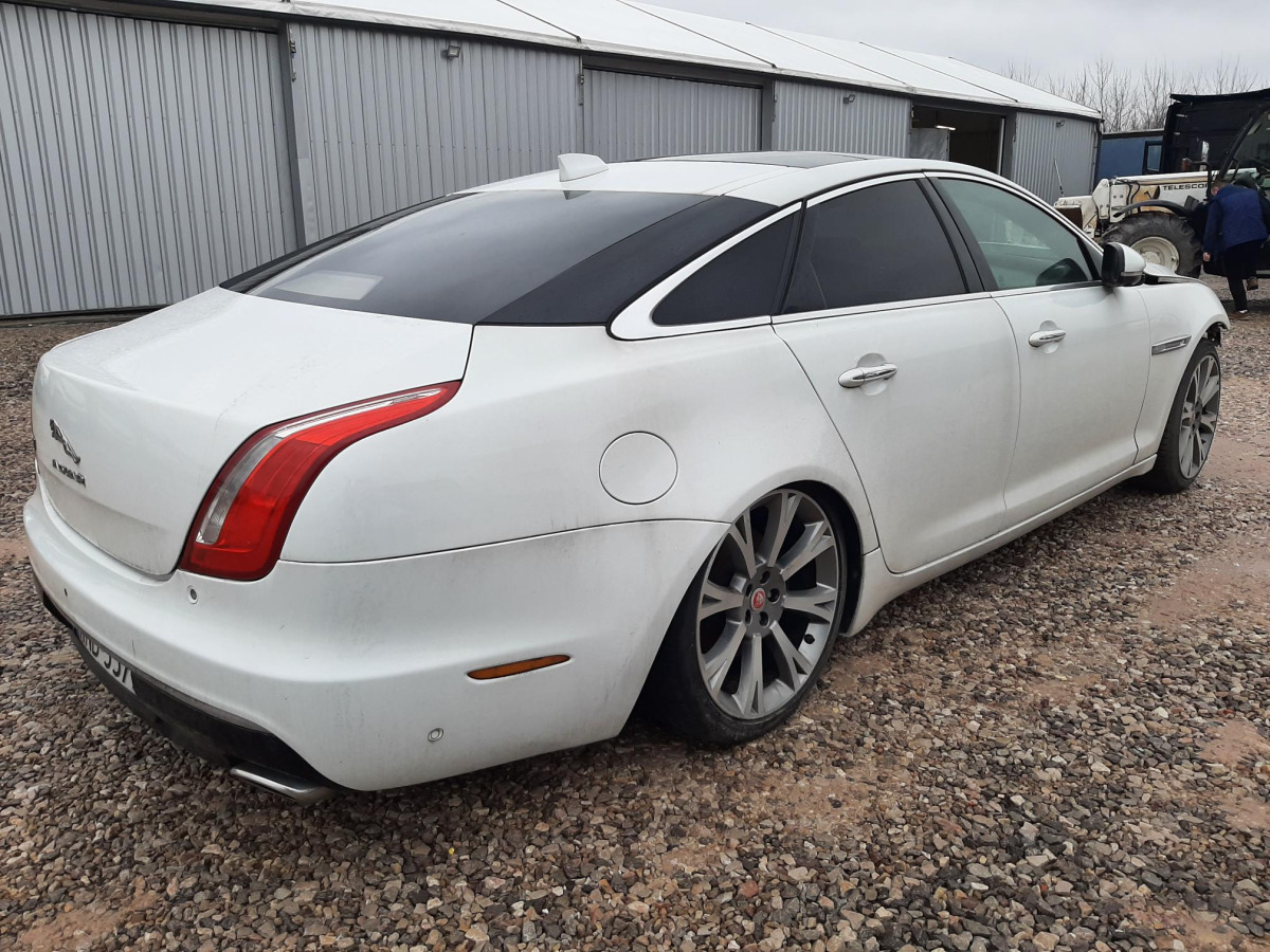JAGUAR XJ SEDAN - Легковой автомобиль: фото 4 JAGUAR XJ SEDAN - Легковой автомобиль: фото 4