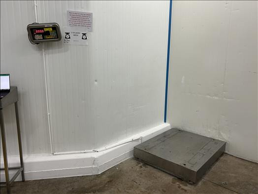 Precia Molen Pallet scale - Пищевое оборудование: фото 1 Precia Molen Pallet scale - Пищевое оборудование: фото 1