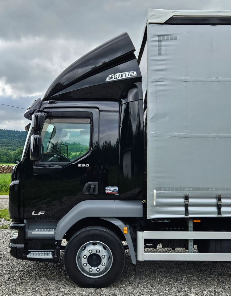 Тентованный грузовик DAF LF 290/WINDA/16TON DMC/FIRANKA/AUTOMAT/16TON DMC/JEDEN WŁAŚCICIE/EURO 6/2019/SPROWADZONY/20PALET/NISKI PRZEBIEG/DUŻA ŁADOWNOŚĆ/JAK NOWY: фото 9