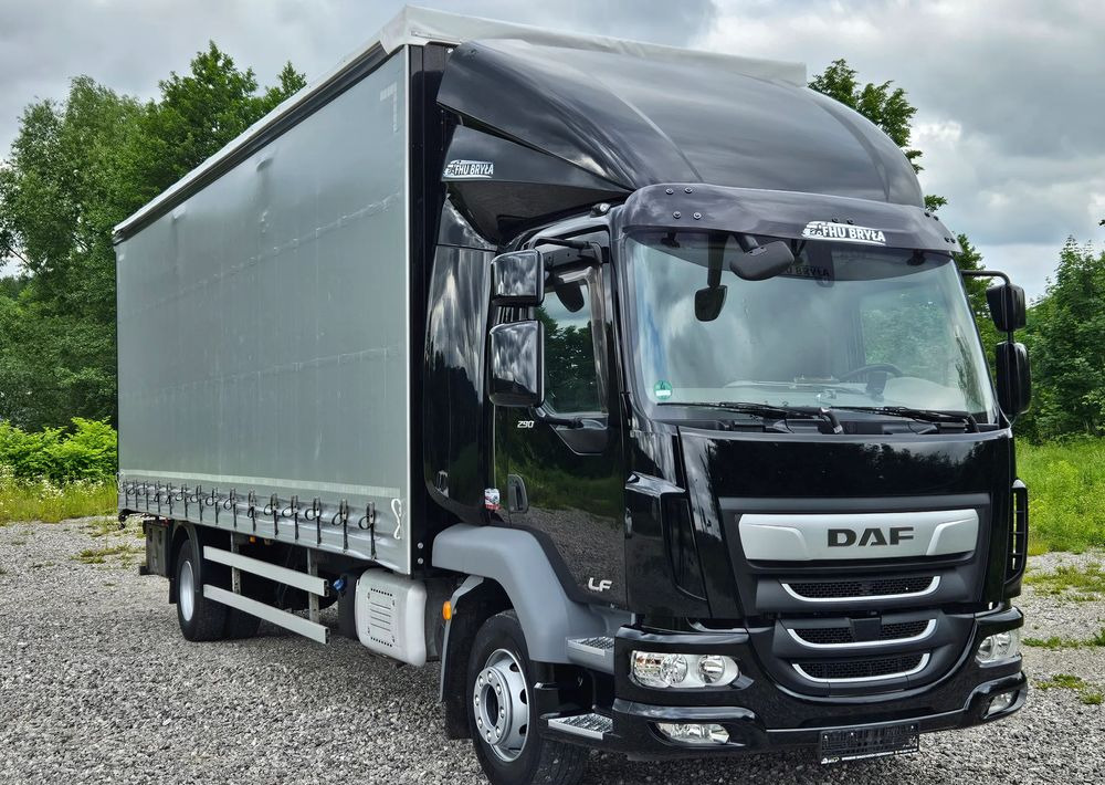 Тентованный грузовик DAF LF 290/WINDA/16TON DMC/FIRANKA/AUTOMAT/16TON DMC/JEDEN WŁAŚCICIE/EURO 6/2019/SPROWADZONY/20PALET/NISKI PRZEBIEG/DUŻA ŁADOWNOŚĆ/JAK NOWY: фото 16