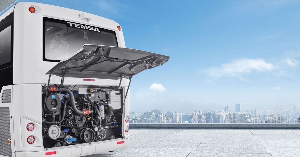 Temsa MD LE - Городской автобус: фото 3 Temsa MD LE - Городской автобус: фото 3