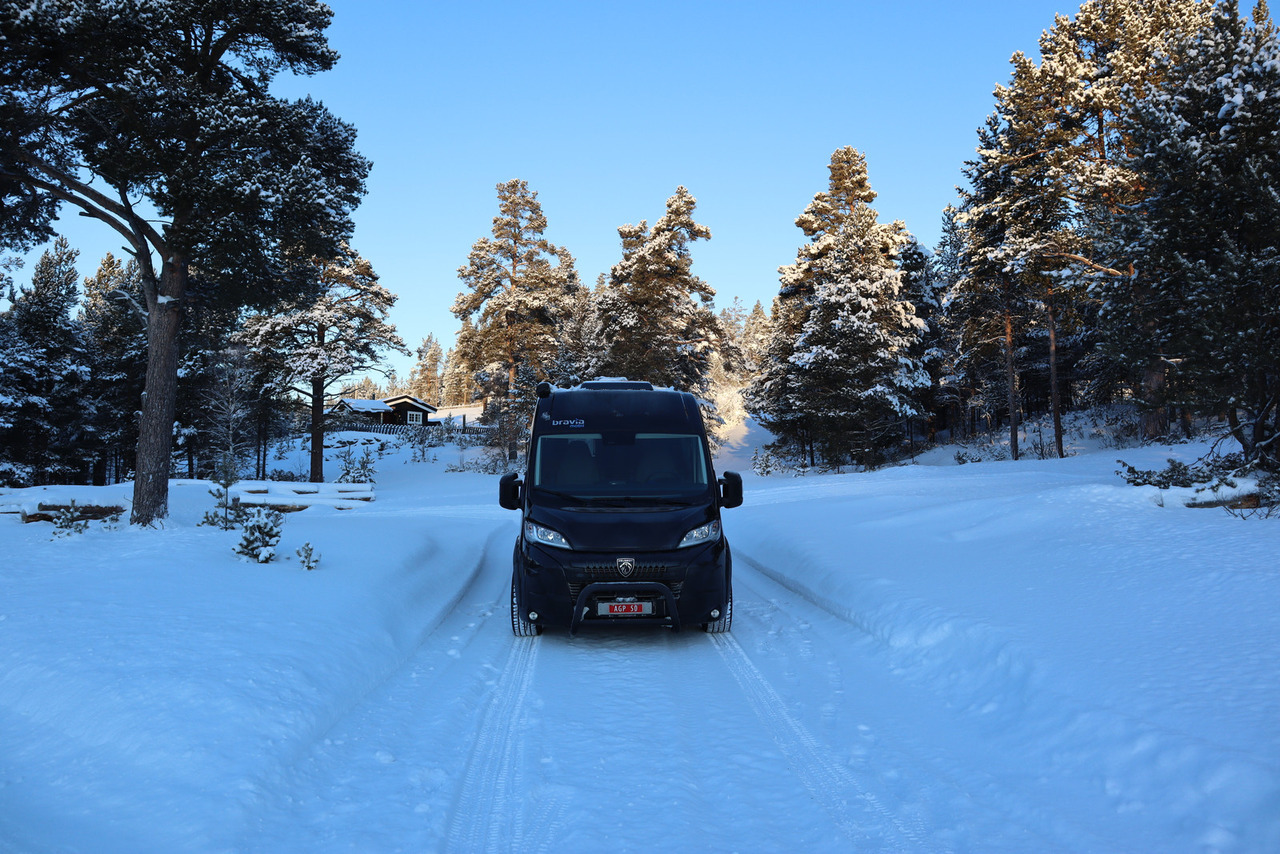 Bravia Swan 599 Nordic - Кастенваген: фото 3 Bravia Swan 599 Nordic - Кастенваген: фото 3