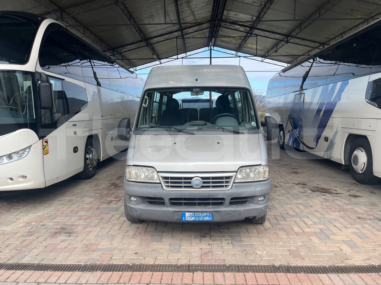 Fiat Ducato Maxi - Туристический автобус: фото 2 Fiat Ducato Maxi - Туристический автобус: фото 2