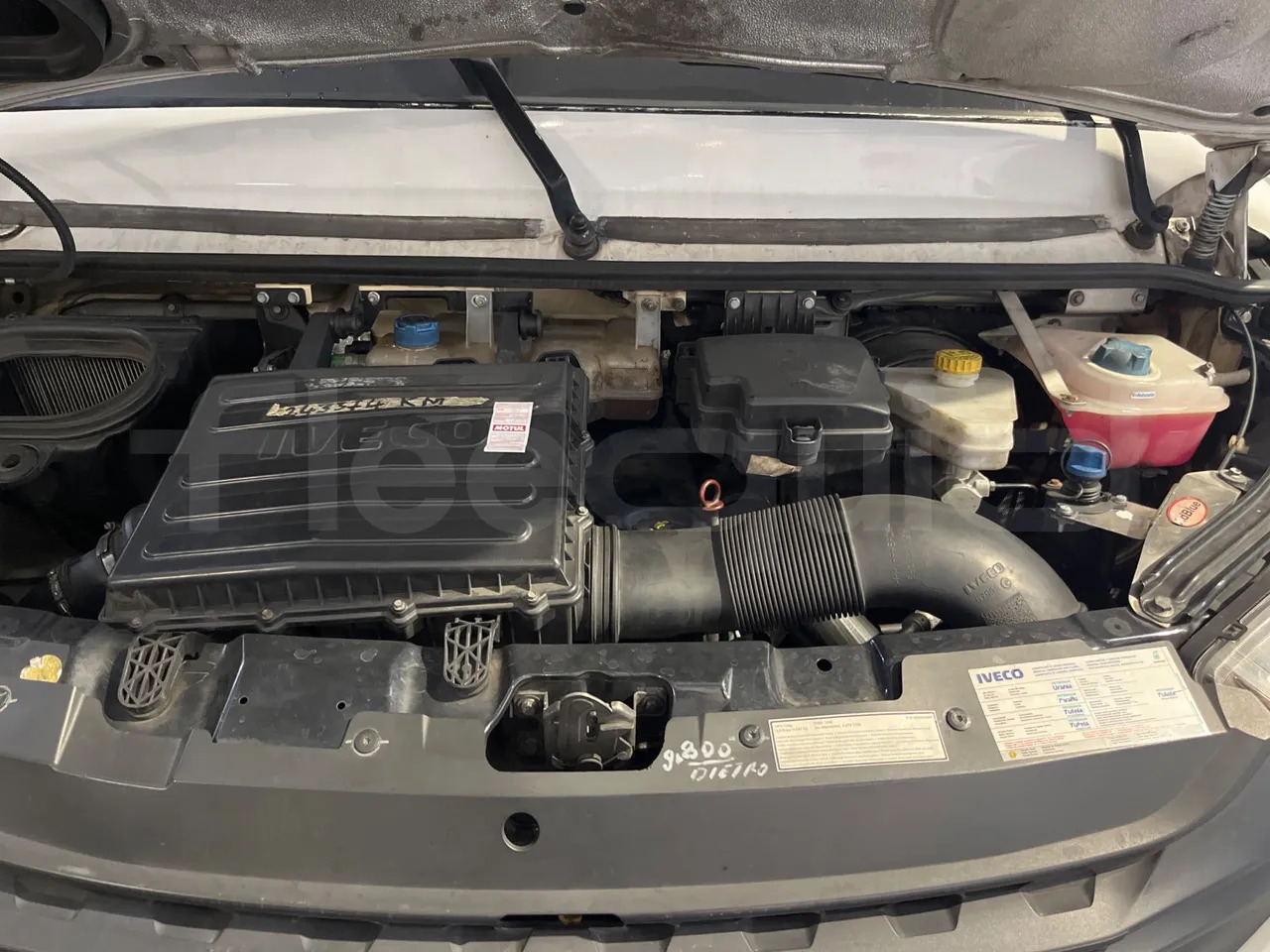 Туристический автобус Iveco Daily: фото 17