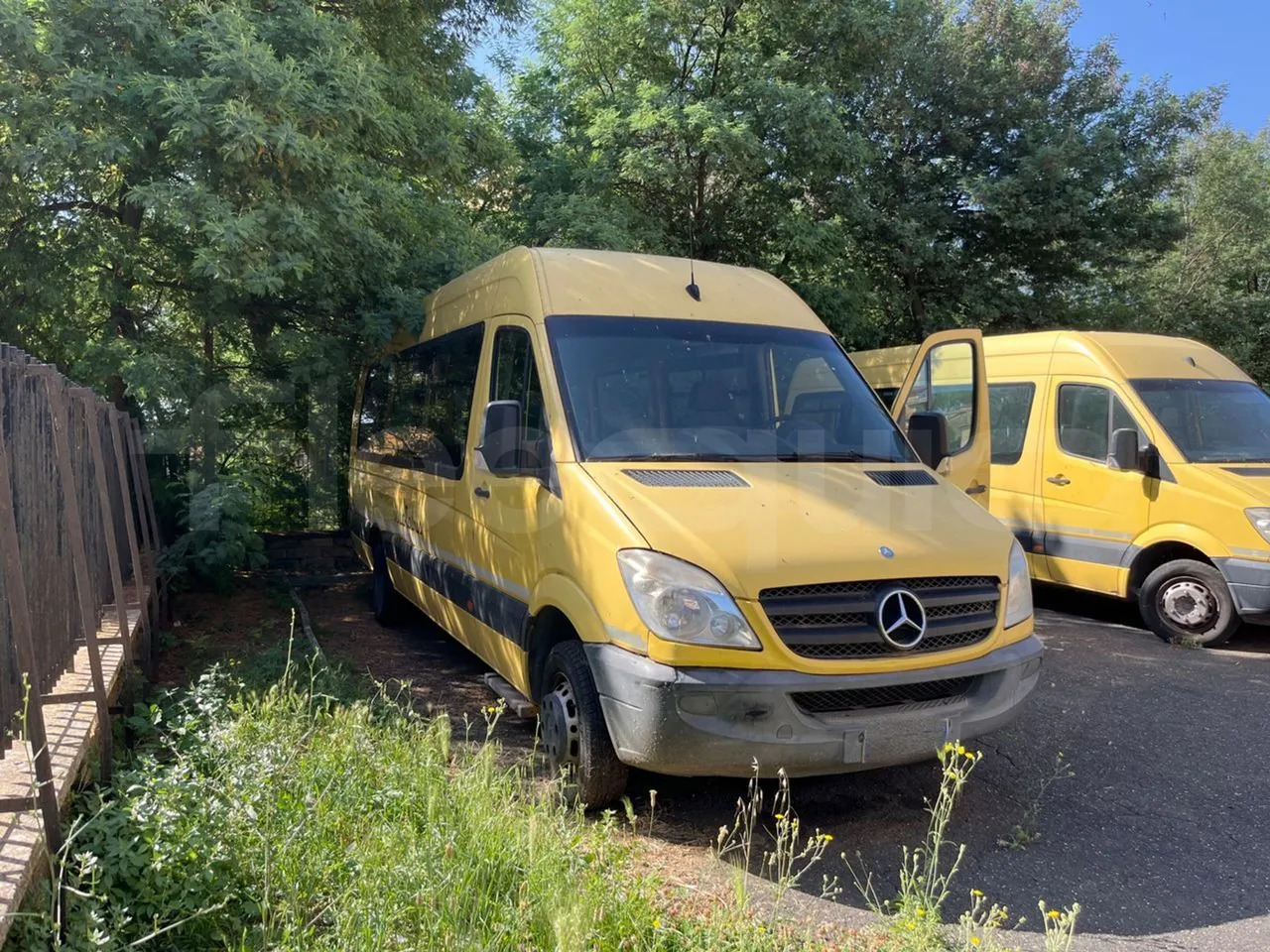 Школьный автобус Mercedes-Benz Sprinter: фото 1