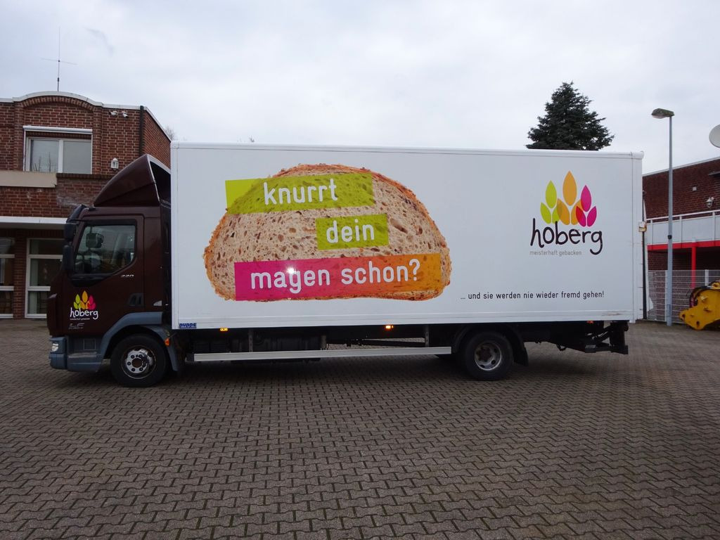 DAF LF 220 Koffer mit Palfinger LBW 4x2 - Фургон с закрытым кузовом: фото 3 DAF LF 220 Koffer mit Palfinger LBW 4x2 - Фургон с закрытым кузовом: фото 3