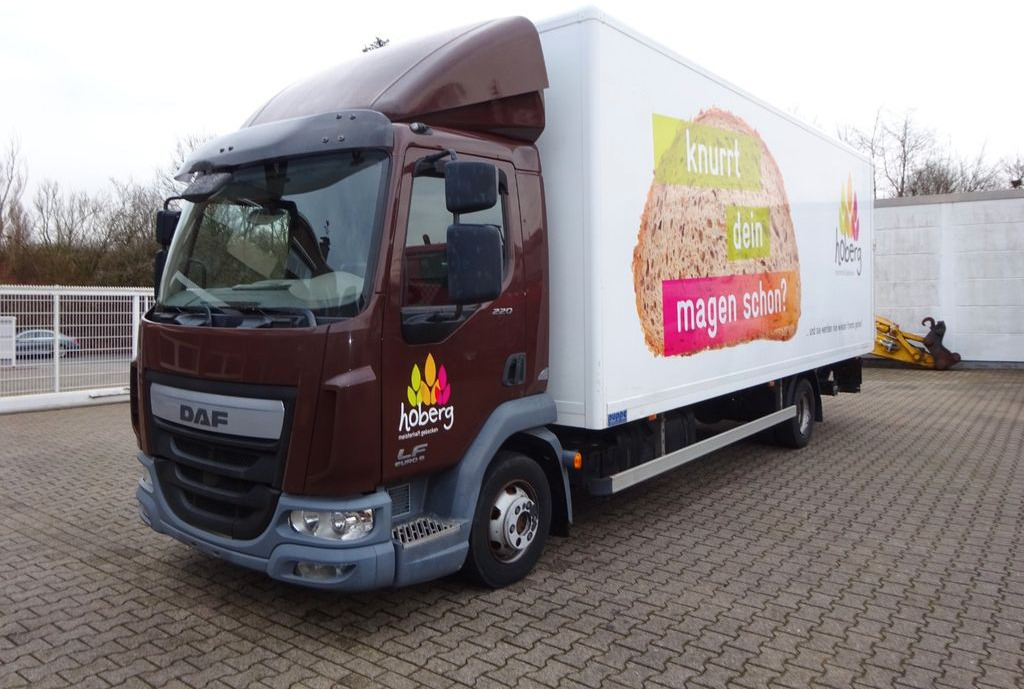 DAF LF 220 Koffer mit Palfinger LBW 4x2 - Фургон с закрытым кузовом: фото 2 DAF LF 220 Koffer mit Palfinger LBW 4x2 - Фургон с закрытым кузовом: фото 2