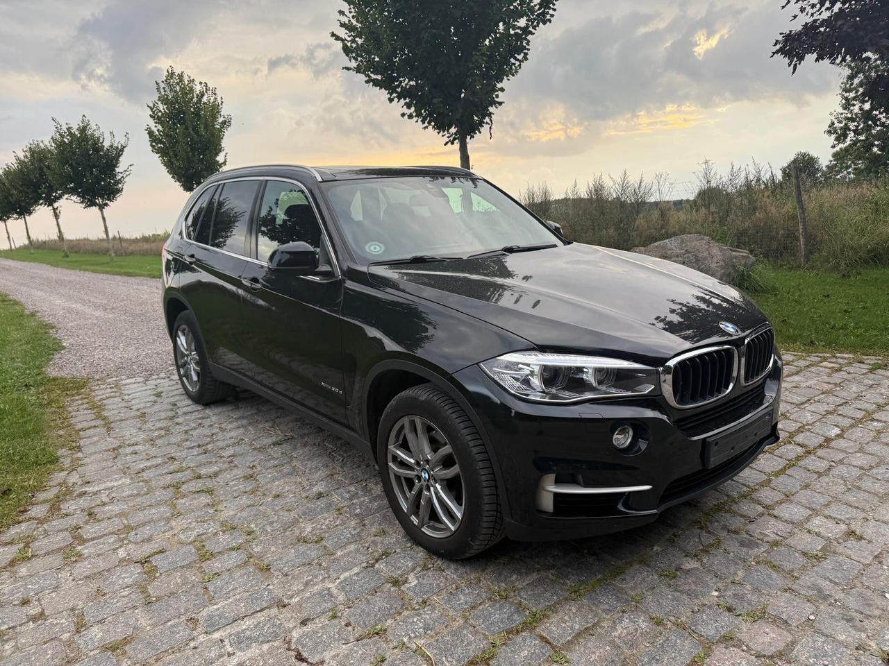 BMW X5 Baureihe X5 xDrive 30 d *21 000€ netto - Внедорожник: фото 1 BMW X5 Baureihe X5 xDrive 30 d *21 000€ netto - Внедорожник: фото 1