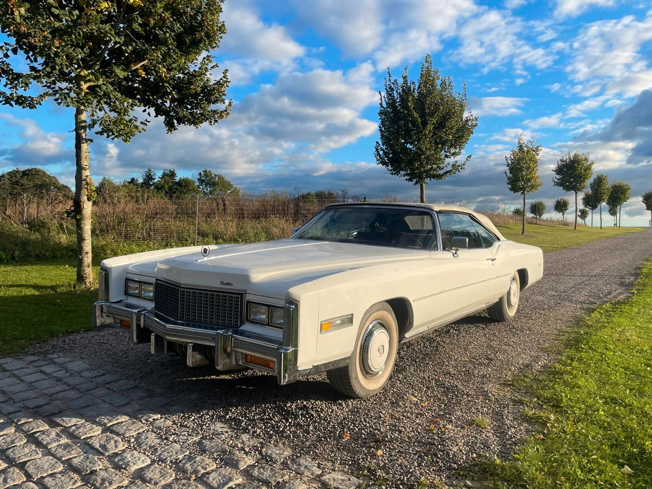 Cadillac Eldorado Convertible - Легковой автомобиль: фото 1 Cadillac Eldorado Convertible - Легковой автомобиль: фото 1