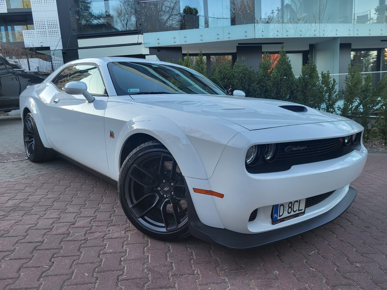 Dodge Challenger - Легковой автомобиль: фото 1 Dodge Challenger - Легковой автомобиль: фото 1