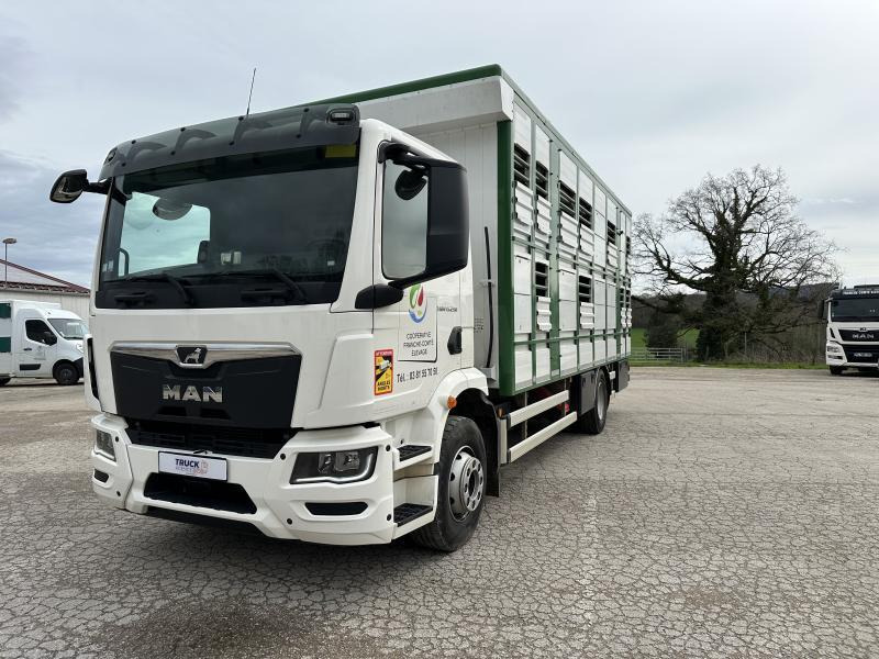 MAN M 90 15.290 TGM - Грузовик для перевозки животных: фото 1 MAN M 90 15.290 TGM - Грузовик для перевозки животных: фото 1