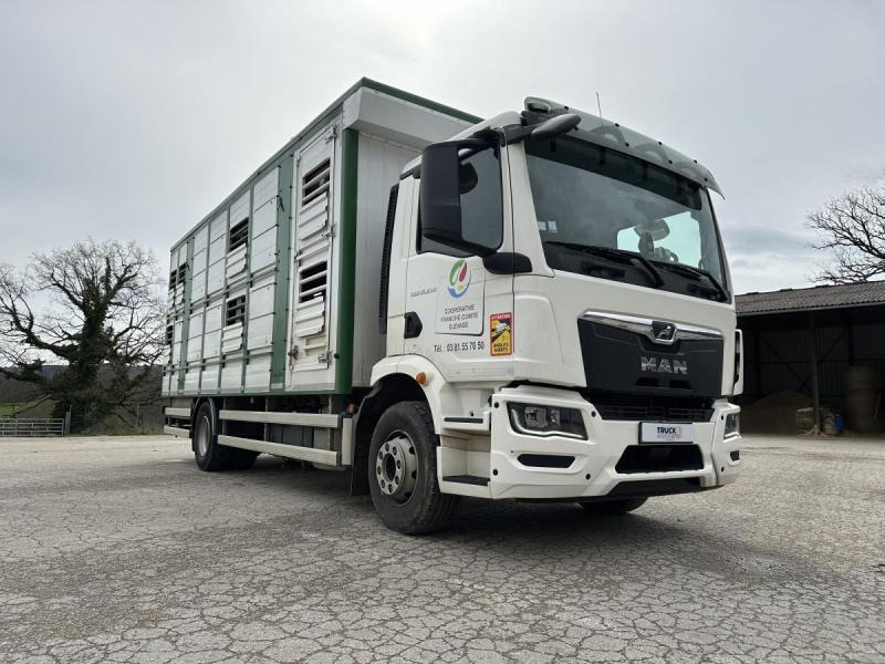 MAN M 90 15.290 TGM - Грузовик для перевозки животных: фото 4 MAN M 90 15.290 TGM - Грузовик для перевозки животных: фото 4